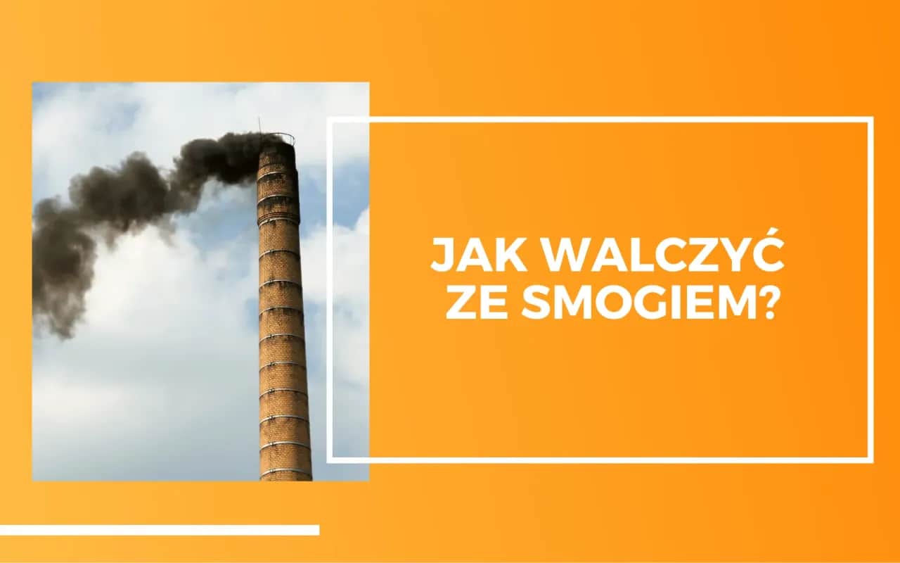 Jak radzić sobie ze smogiem? Pełny poradnik dla zdrowia w domu i poza nim.