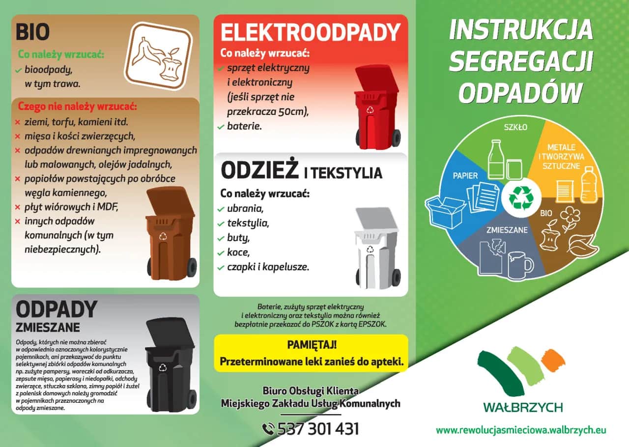 Segregacja śmieci: Koniec z dylematami! Pełny poradnik 2024